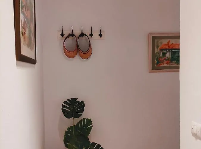 Apartment Front Line With Fantastic Terrace. Telde